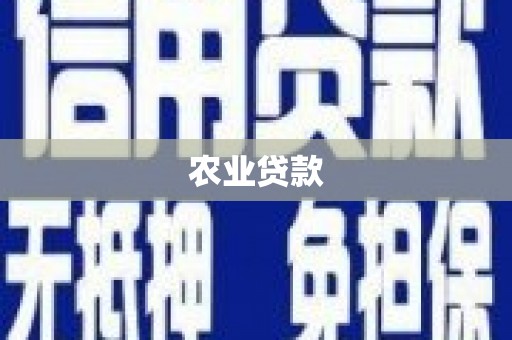 天桥农业贷款