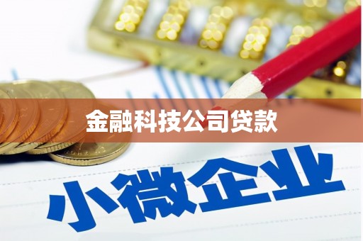天桥金融科技公司贷款
