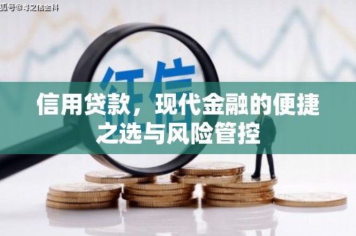 天桥信用贷款，现代金融的便捷之选与风险管控