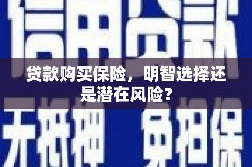 天桥贷款购买保险，明智选择还是潜在风险？