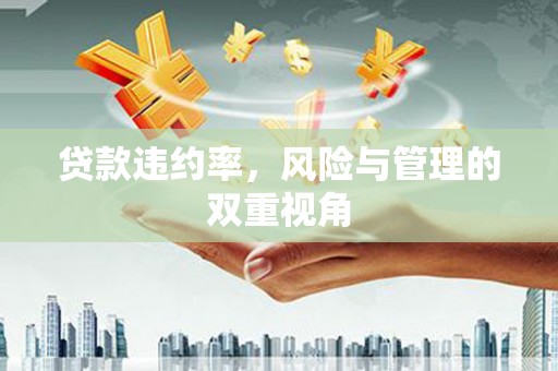 天桥贷款违约率，风险与管理的双重视角