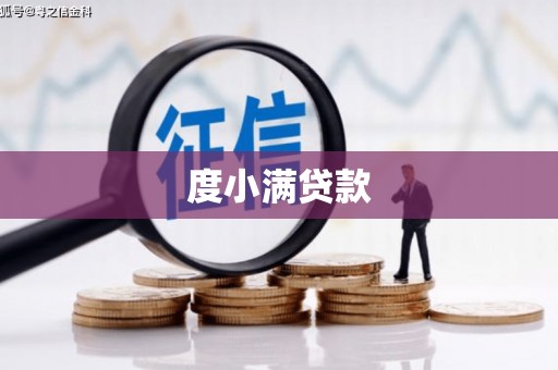 天桥度小满贷款