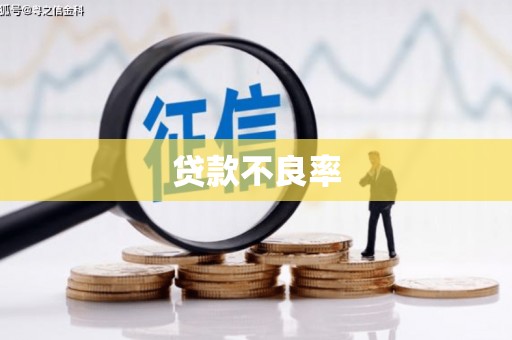 天桥贷款不良率