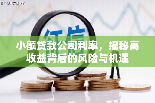 天桥小额贷款公司利率，揭秘高收益背后的风险与机遇