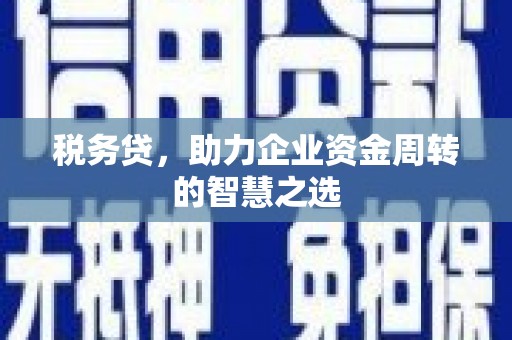 天桥税务贷，助力企业资金周转的智慧之选
