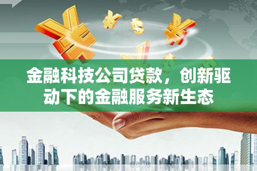 天桥金融科技公司贷款，创新驱动下的金融服务新生态