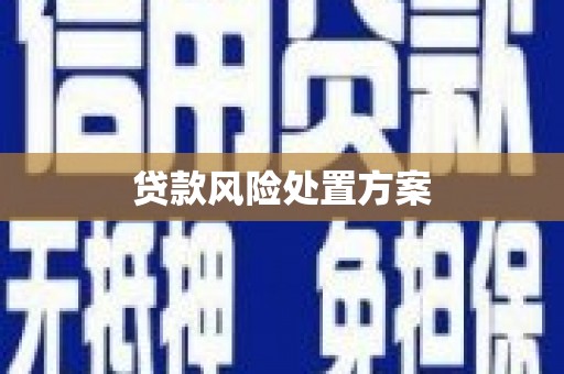 天桥贷款风险处置方案