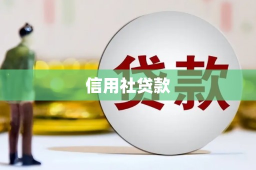 天桥信用社贷款