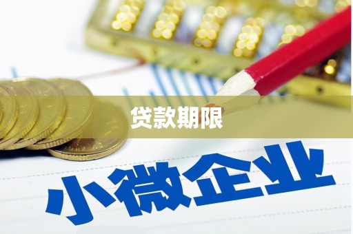 天桥贷款期限