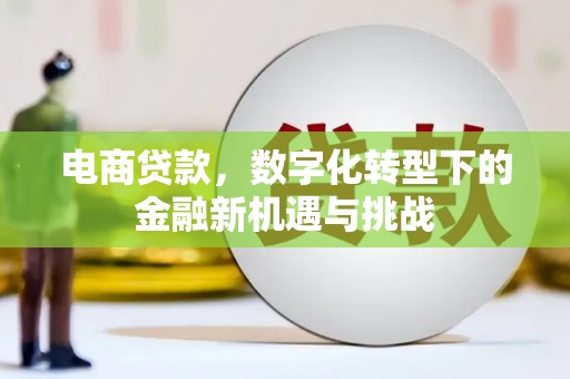 天桥电商贷款，数字化转型下的金融新机遇与挑战