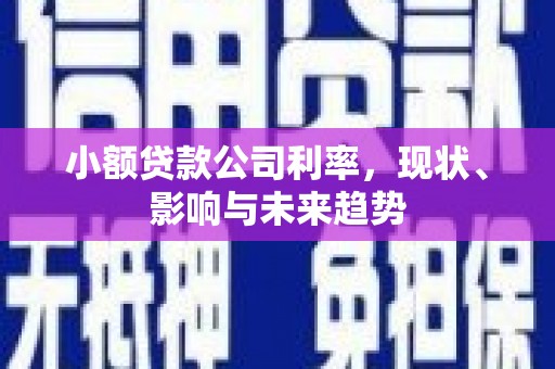 天桥小额贷款公司利率，现状、影响与未来趋势