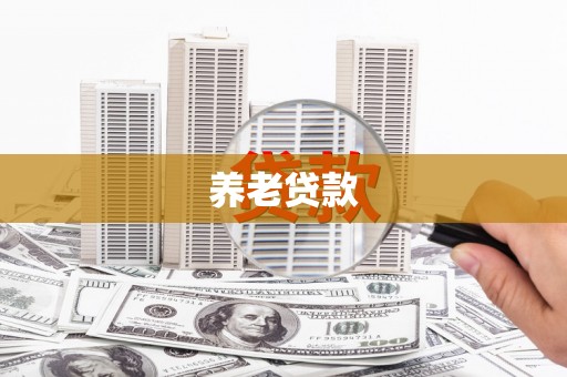 天桥养老贷款
