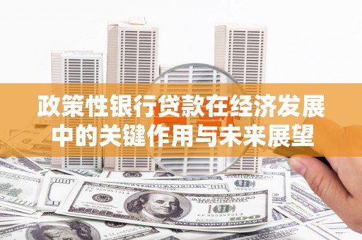 天桥政策性银行贷款在经济发展中的关键作用与未来展望
