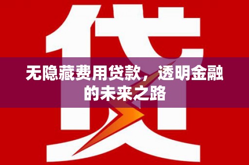 天桥无隐藏费用贷款，透明金融的未来之路