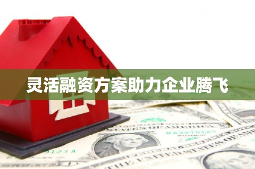 天桥灵活融资方案助力企业腾飞
