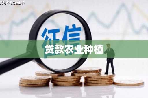 天桥贷款农业种植