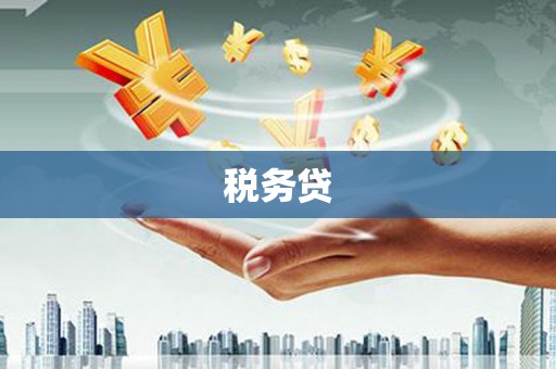 天桥税务贷