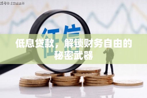 天桥低息贷款，解锁财务自由的秘密武器
