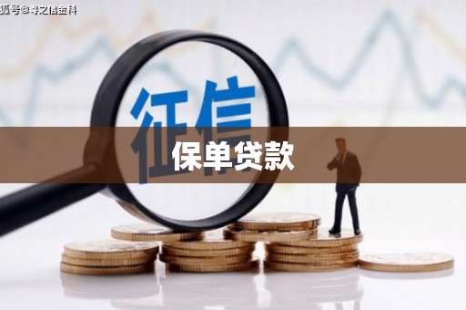 天桥保单贷款