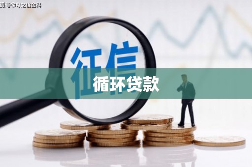 天桥循环贷款