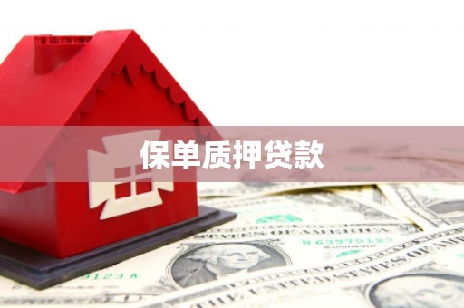 天桥保单质押贷款