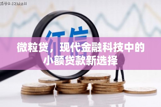 天桥微粒贷，现代金融科技中的小额贷款新选择