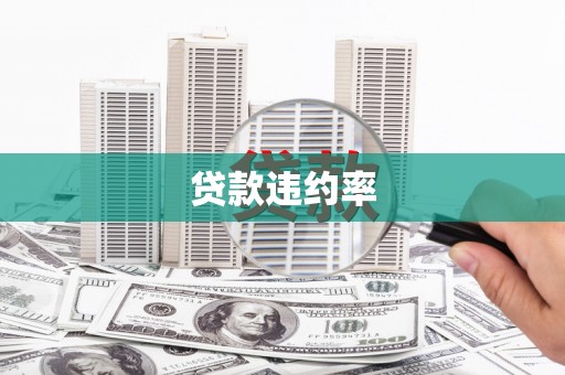 天桥贷款违约率
