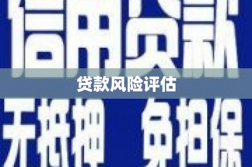 天桥贷款风险评估