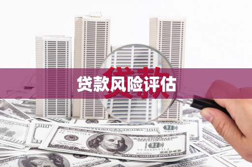 天桥贷款风险评估