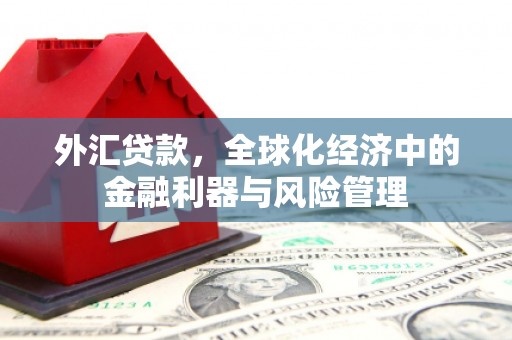 天桥外汇贷款，全球化经济中的金融利器与风险管理