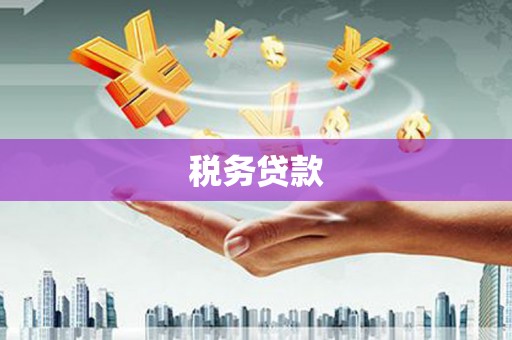 天桥税务贷款
