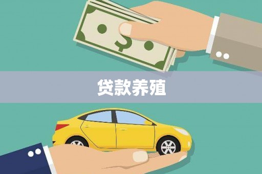 天桥贷款养殖