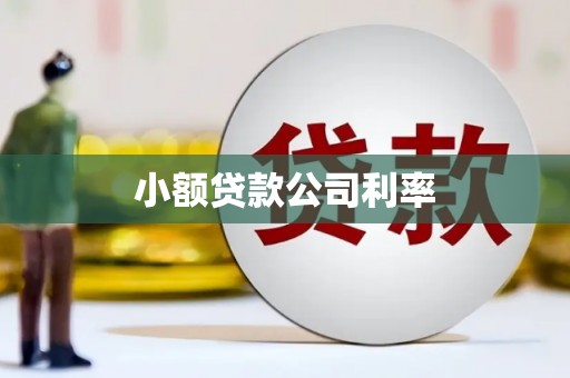 天桥小额贷款公司利率