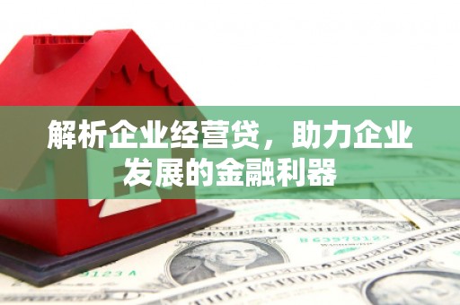 天桥解析企业经营贷，助力企业发展的金融利器