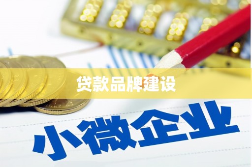 天桥贷款品牌建设