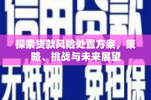 天桥探索贷款风险处置方案，策略、挑战与未来展望
