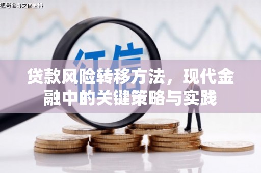 天桥贷款风险转移方法，现代金融中的关键策略与实践