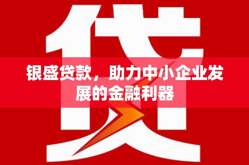 天桥银盛贷款，助力中小企业发展的金融利器