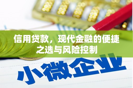 天桥信用贷款，现代金融的便捷之选与风险控制