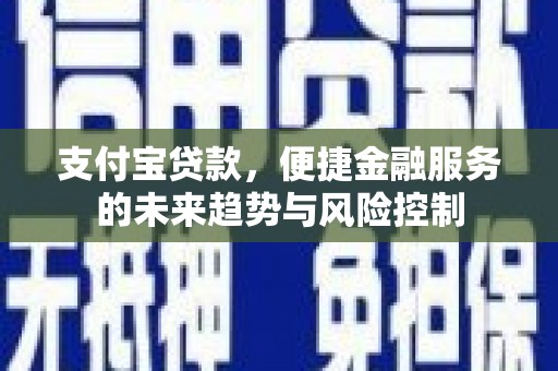 天桥支付宝贷款，便捷金融服务的未来趋势与风险控制
