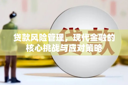 天桥贷款风险管理，现代金融的核心挑战与应对策略