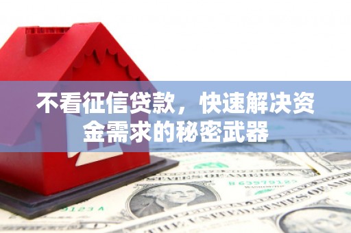 天桥不看征信贷款，快速解决资金需求的秘密武器