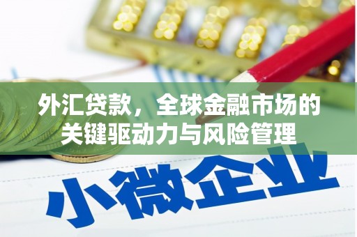 天桥外汇贷款，全球金融市场的关键驱动力与风险管理