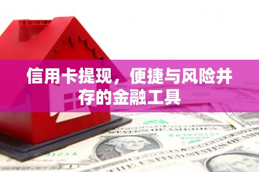 天桥信用卡提现，便捷与风险并存的金融工具