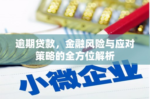 天桥逾期贷款，金融风险与应对策略的全方位解析