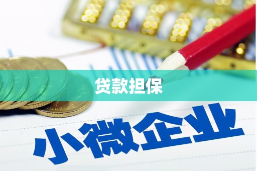 天桥贷款担保