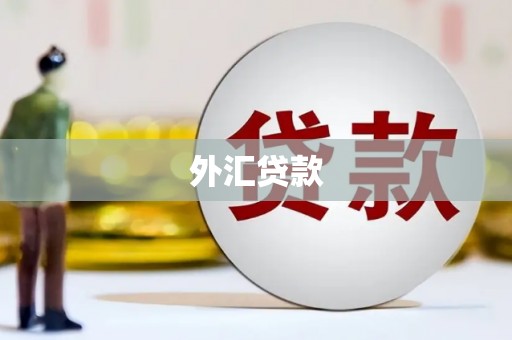 天桥外汇贷款