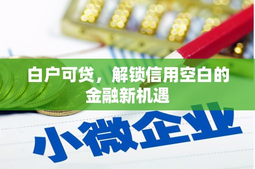 天桥白户可贷，解锁信用空白的金融新机遇