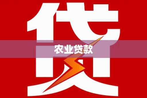 天桥农业贷款