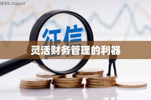 天桥灵活财务管理的利器